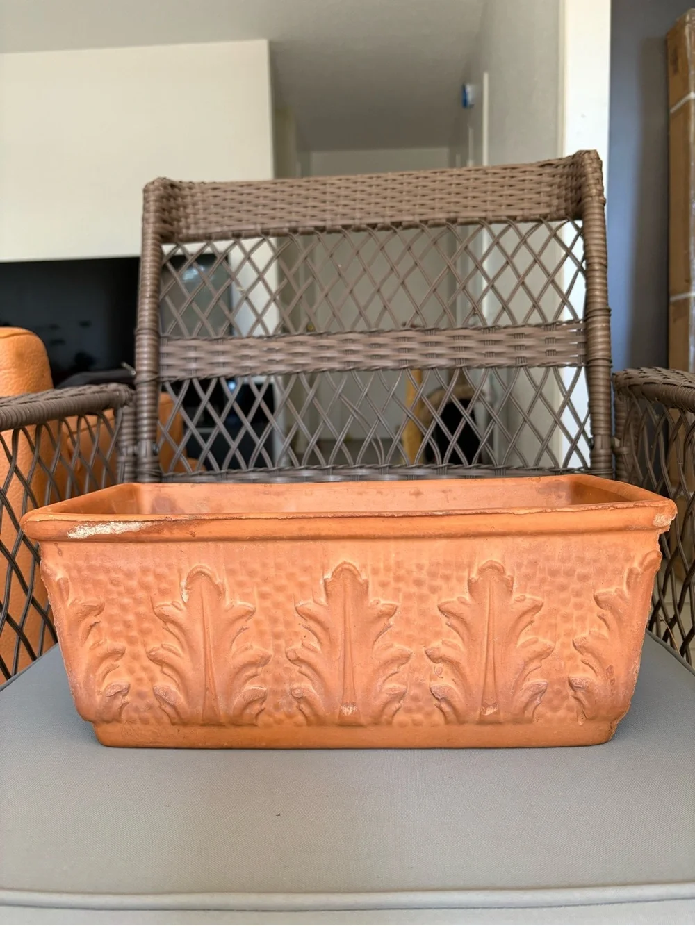 Italian Made Silma Terracotta Acanthus Leaf-Relief Planter